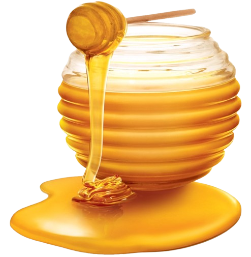 honey-food-png-11667646869wllfsl-removebg-preview